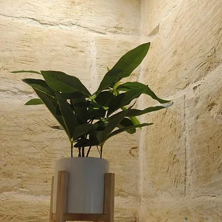 Holiday home Ic-cikwejra - Authentic 300 Year Old - Island Of Gozo, Malta *